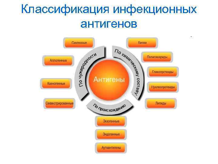 Классификация инфекционных антигенов 