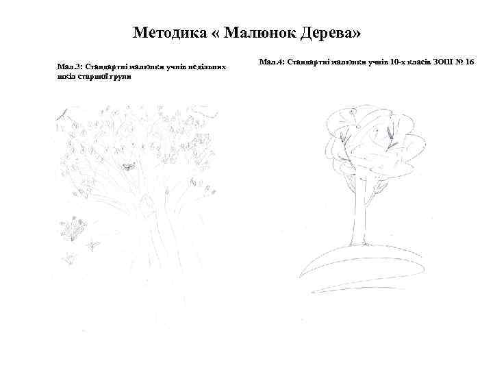 Методика « Малюнок Дерева» Мал. 3: Стандартні малюнки учнів недільних шкіл старшої групи Мал.