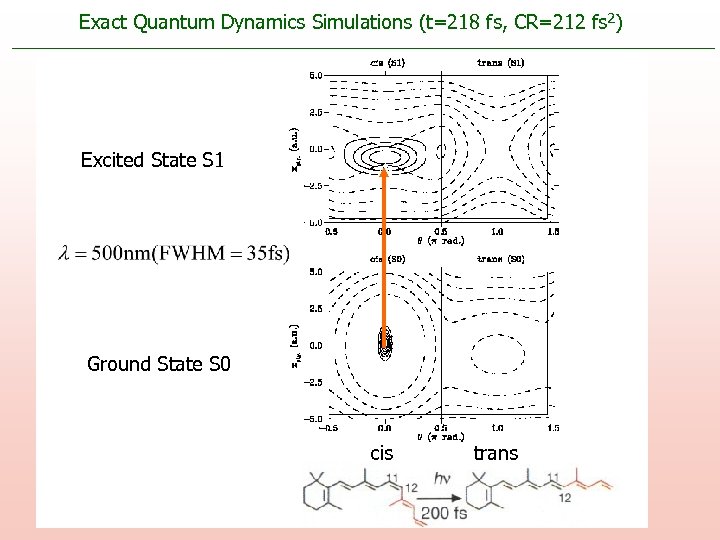 Exact Quantum Dynamics Simulations (t=218 fs, CR=212 fs 2) Excited State S 1 Ground