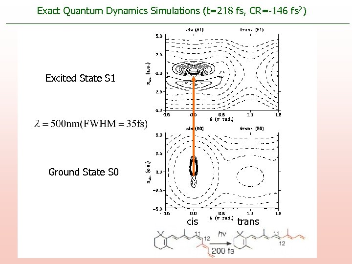 Exact Quantum Dynamics Simulations (t=218 fs, CR=-146 fs 2) Excited State S 1 Ground