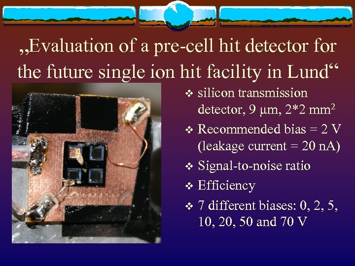 „Evaluation of a pre-cell hit detector for the future single ion hit facility in