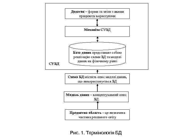 Додаток – форми та звіти з якими працюють користувачи Механізм СУБД База даних представляє