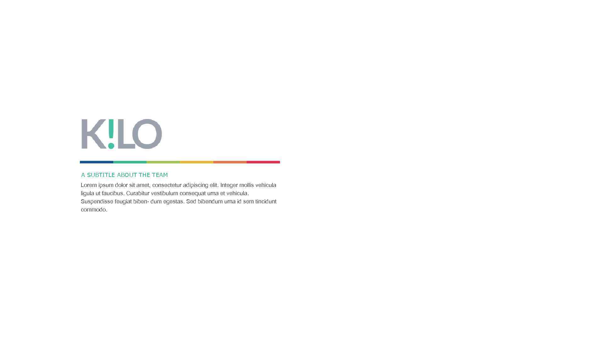 A SUBTITLE ABOUT THE TEAM Lorem ipsum dolor sit amet, consectetur adipiscing elit. Integer