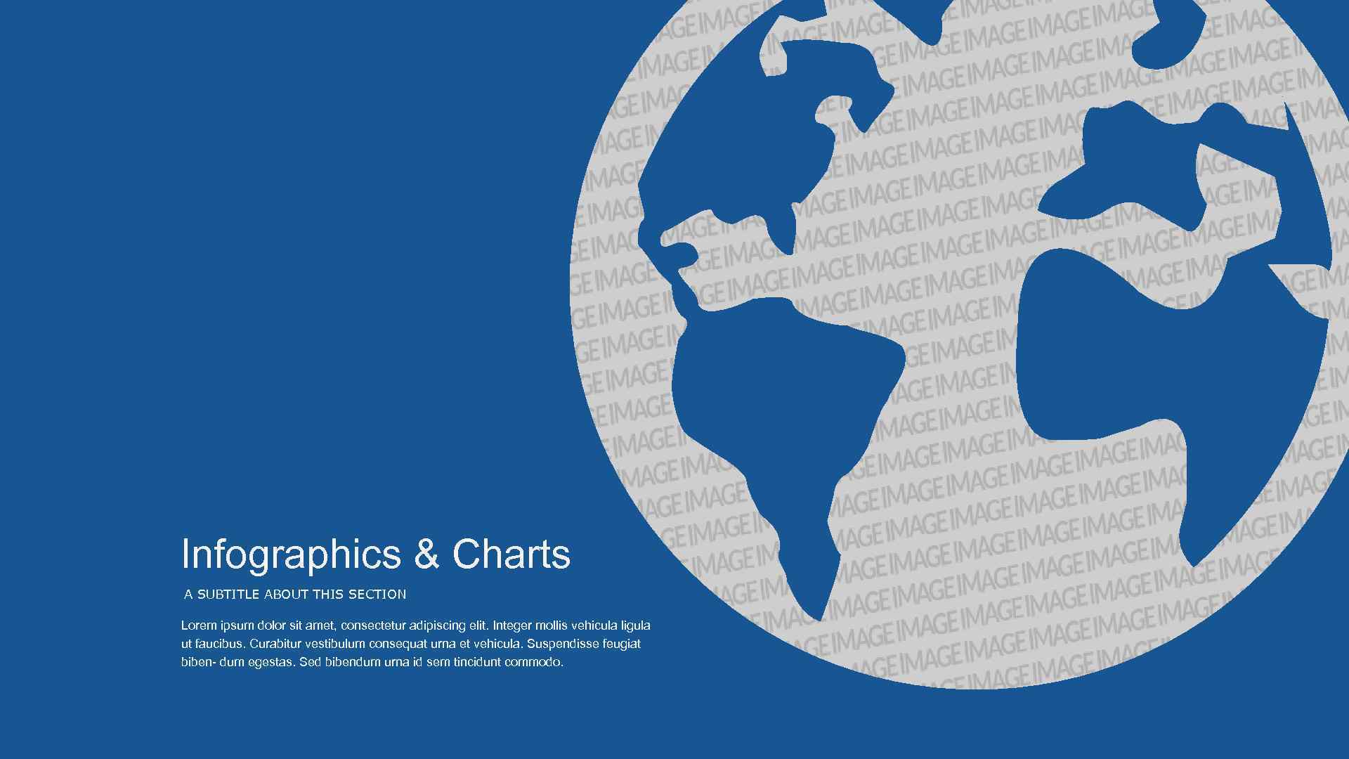Infographics & Charts A SUBTITLE ABOUT THIS SECTION Lorem ipsum dolor sit amet, consectetur