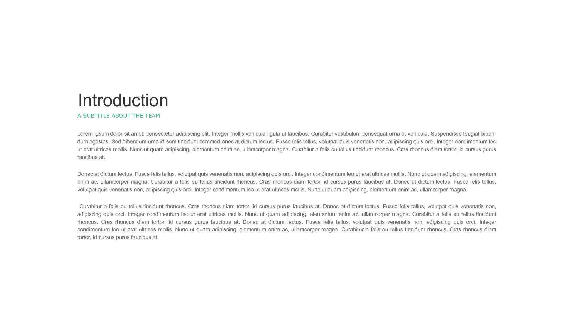 Introduction A SUBTITLE ABOUT THE TEAM Lorem ipsum dolor sit amet, consectetur adipiscing elit.