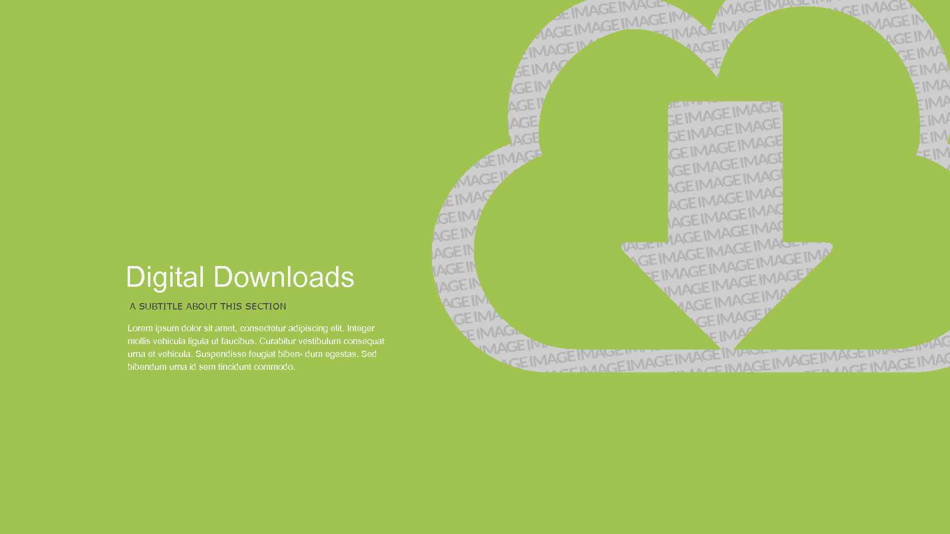 Digital Downloads A SUBTITLE ABOUT THIS SECTION Lorem ipsum dolor sit amet, consectetur adipiscing