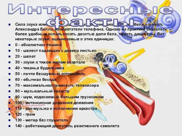 n n n n Сила звука измеряется в единицах, получивших название белл – в