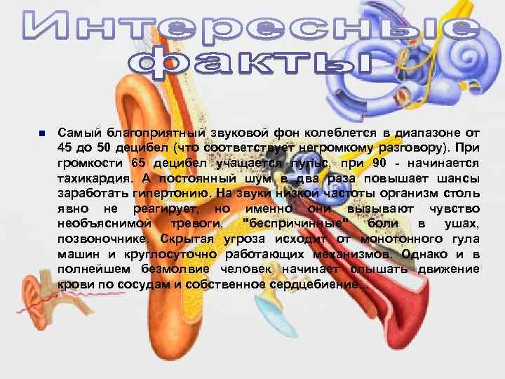 n Самый благоприятный звуковой фон колеблется в диапазоне от 45 до 50 децибел (что