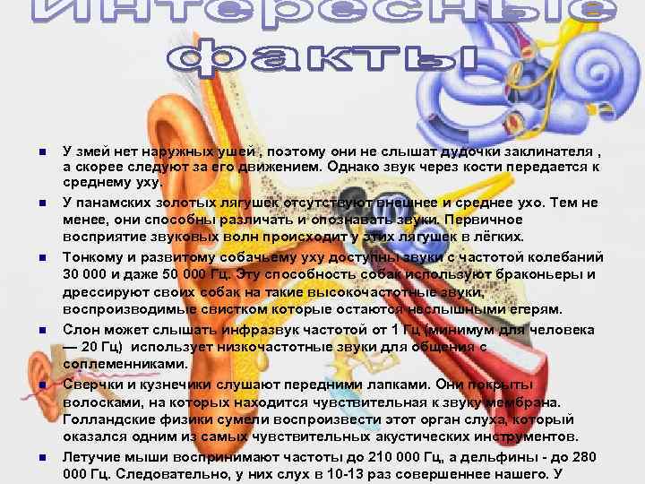 n n n У змей нет наружных ушей , поэтому они не слышат дудочки