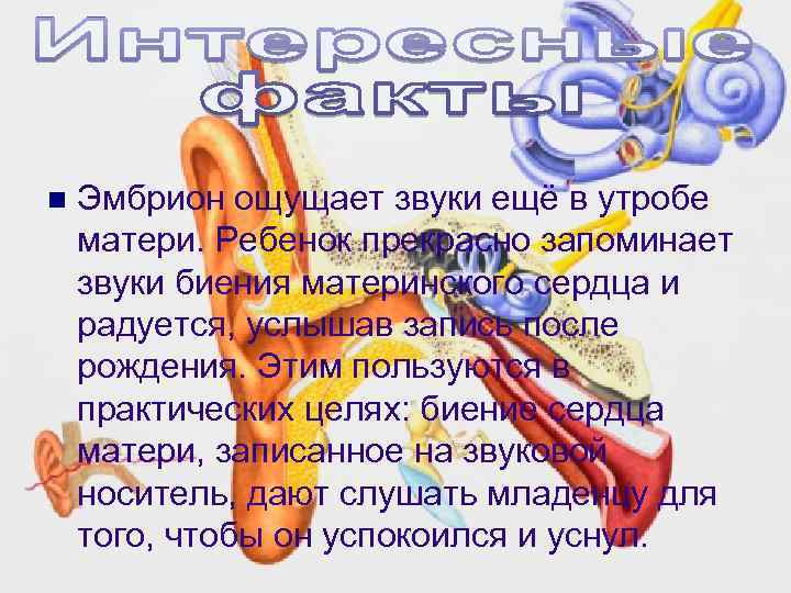 n Эмбрион ощущает звуки ещё в утробе матери. Ребенок прекрасно запоминает звуки биения материнского