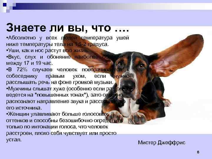 Знаете ли вы, что …. • Абсолютно у всех людей температура ушей ниже температуры
