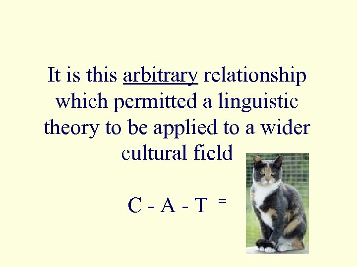 It is this arbitrary relationship which permitted a linguistic theory to be applied to