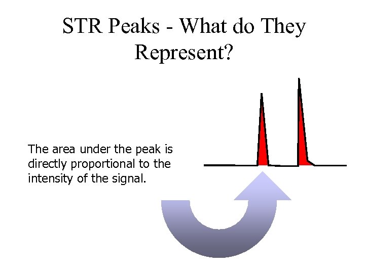 STR Peaks - What do They Represent? The area under the peak is directly