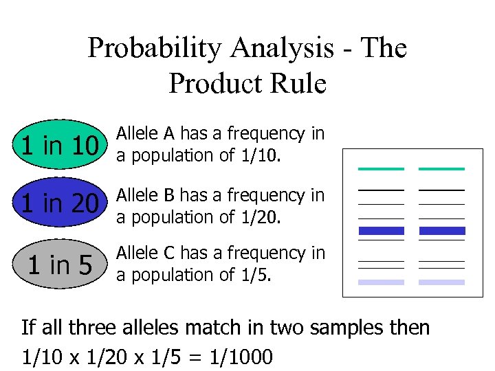 Probability Analysis - The Product Rule 1 in 10 Allele A has a frequency