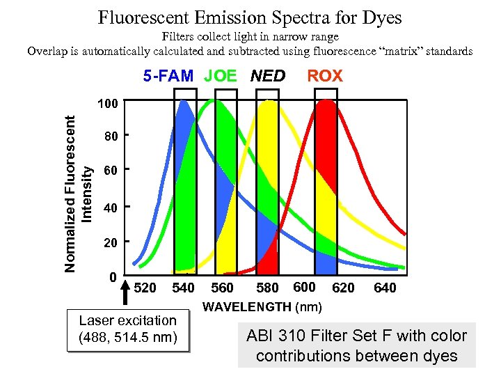 Fluorescent Emission Spectra for Dyes Filters collect light in narrow range Overlap is automatically