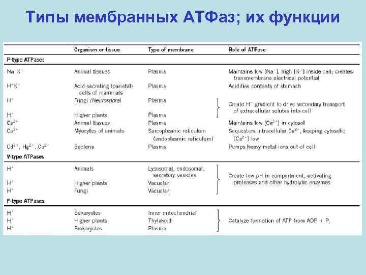 Типы мембранных АТФаз; их функции 