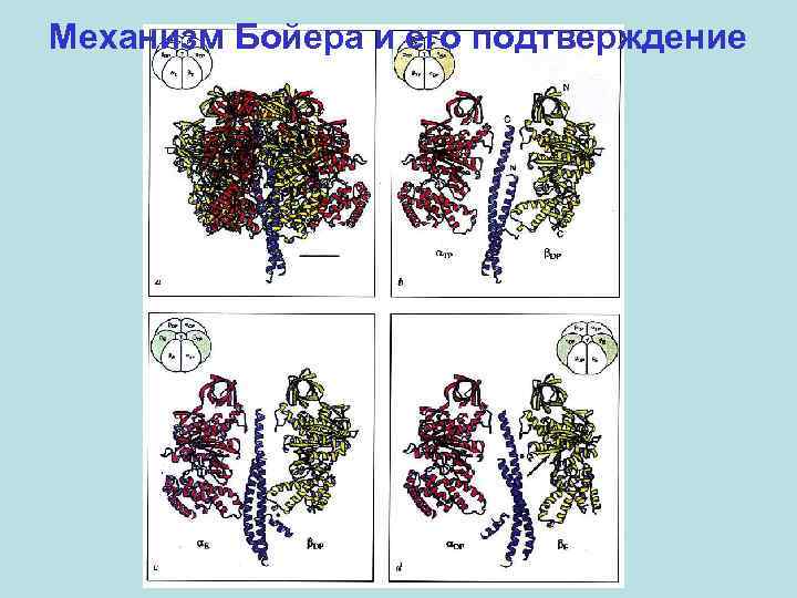 Механизм Бойера и его подтверждение 