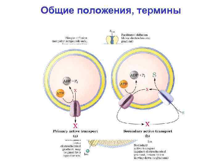 Общие положения, термины 