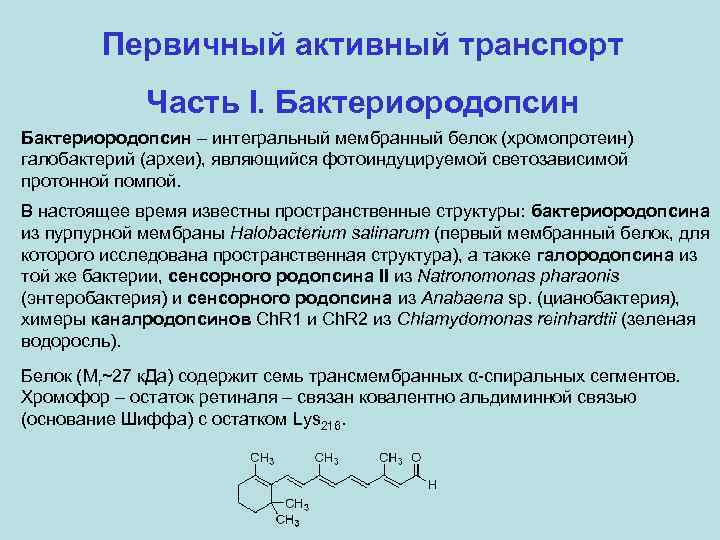 Первичный активный транспорт Часть I. Бактериородопсин – интегральный мембранный белок (хромопротеин) галобактерий (археи), являющийся