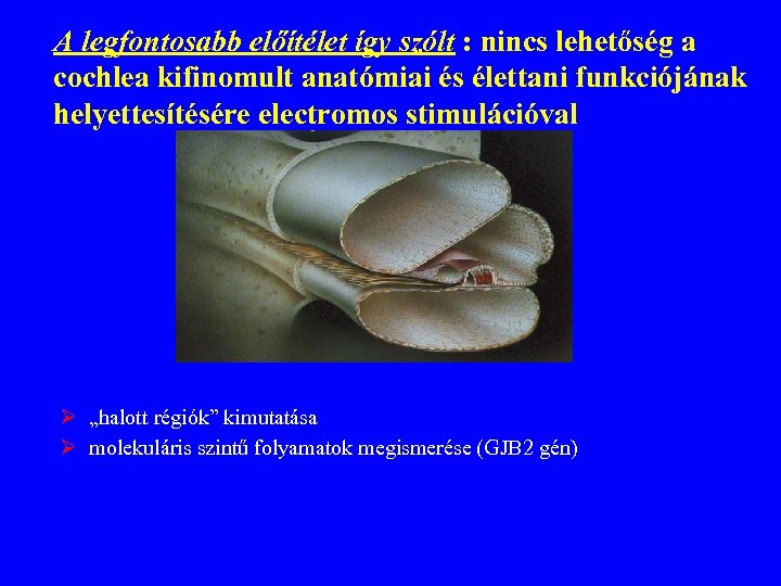 A legfontosabb előítélet így szólt : nincs lehetőség a cochlea kifinomult anatómiai és élettani