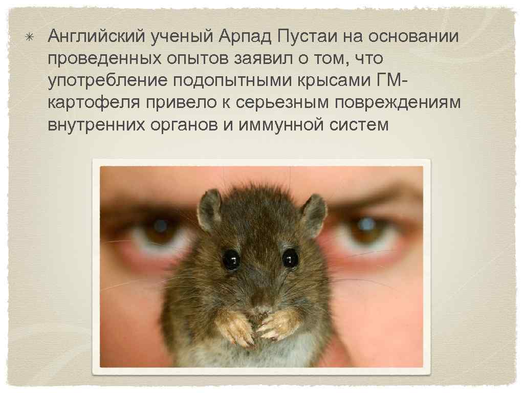 Английский ученый Арпад Пустаи на основании проведенных опытов заявил о том, что употребление подопытными