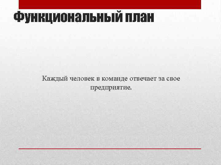 Функциональный план Каждый человек в команде отвечает за свое предприятие. 