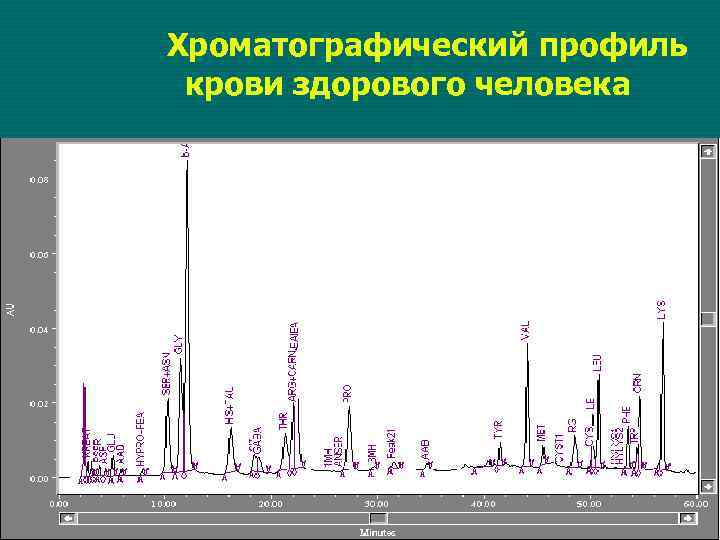 Хроматографический профиль крови здорового человека 