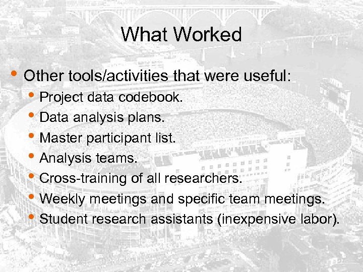 What Worked • Other tools/activities that were useful: • Project data codebook. • Data