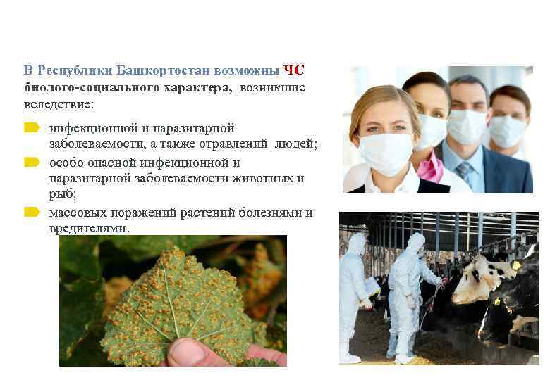 В Республики Башкортостан возможны ЧС биолого-социального характера, возникшие вследствие: инфекционной и паразитарной заболеваемости, а