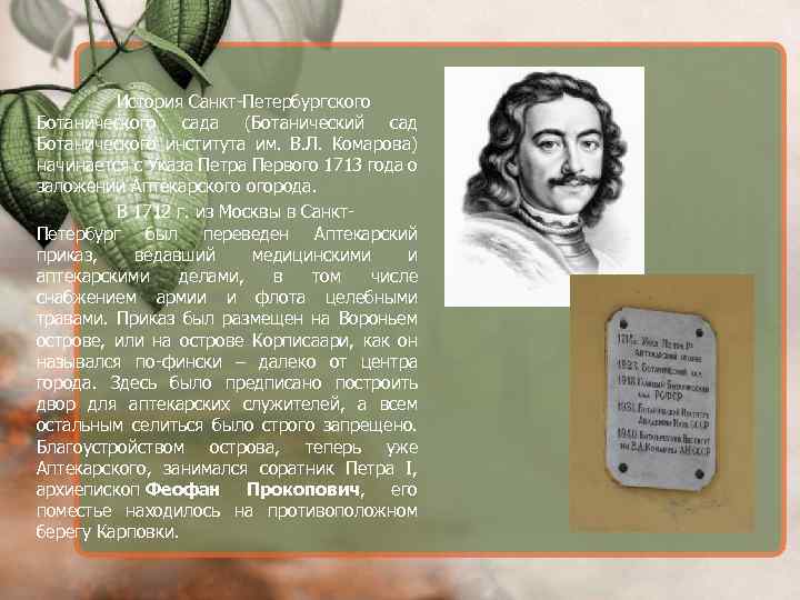 История Санкт-Петербургского Ботанического сада (Ботанический сад Ботанического института им. В. Л. Комарова) начинается с