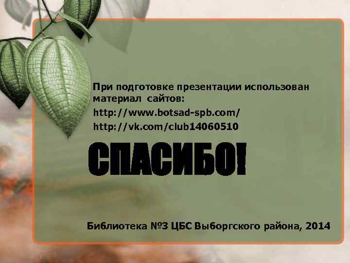 При подготовке презентации использован материал сайтов: http: //www. botsad-spb. com/ http: //vk. com/club 14060510