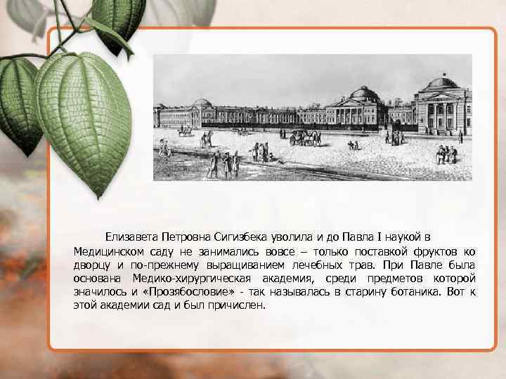 Елизавета Петровна Сигизбека уволила и до Павла I наукой в Медицинском саду не занимались