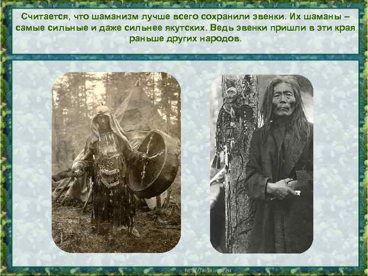 Считается, что шаманизм лучше всего сохранили эвенки. Их шаманы – самые сильные и даже