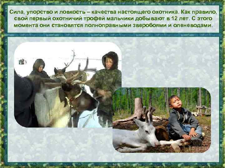 Сила, упорство и ловкость – качества настоящего охотника. Как правило, свой первый охотничий трофей