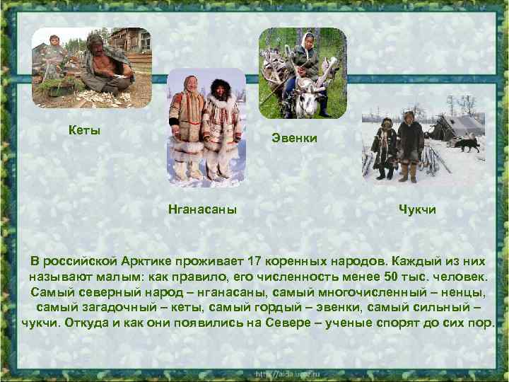 Кеты Эвенки Нганасаны Чукчи В российской Арктике проживает 17 коренных народов. Каждый из них