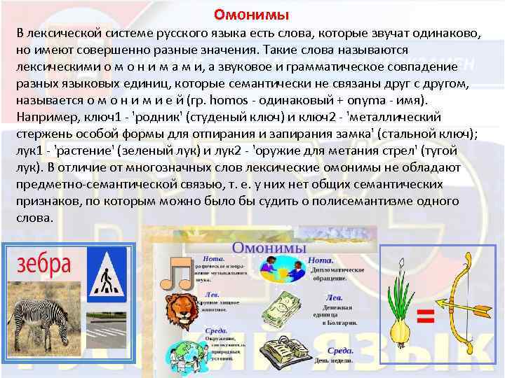  Омонимы В лексической системе русского языка есть слова, которые звучат одинаково, но имеют