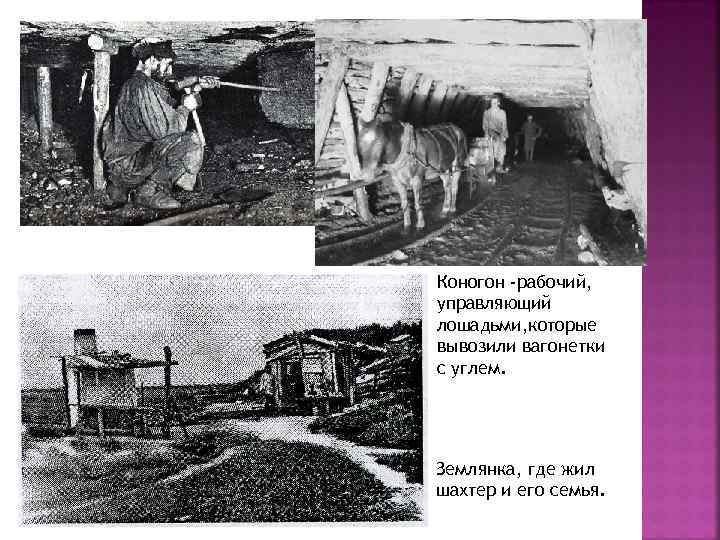 Коногон -рабочий, управляющий лошадьми, которые вывозили вагонетки с углем. Землянка, где жил шахтер и