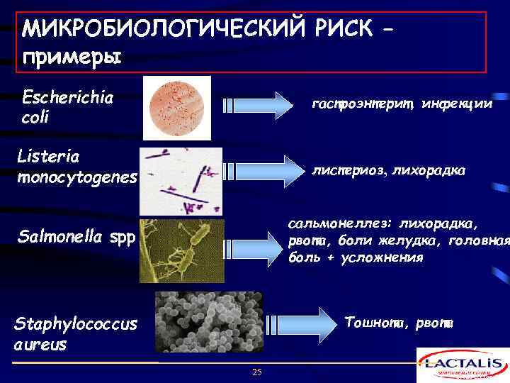 МИКРОБИОЛОГИЧЕСКИЙ РИСК – примеры Escherichia coli гастроэнтерит, инфекции Listeria monocytogenes листериоз, лихорадка, сальмонеллез: лихорадка,