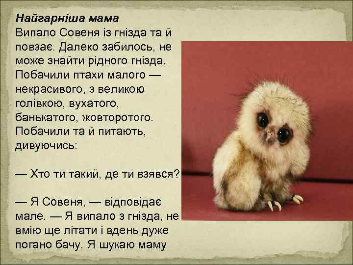 Найгарніша мама Випало Совеня із гнізда та й повзає. Далеко забилось, не може знайти