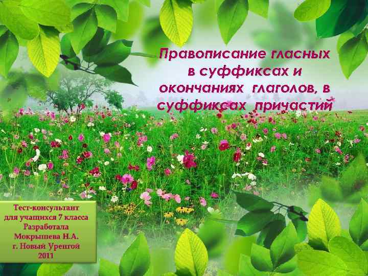 Правописание гласных в суффиксах и окончаниях глаголов, в суффиксах причастий 