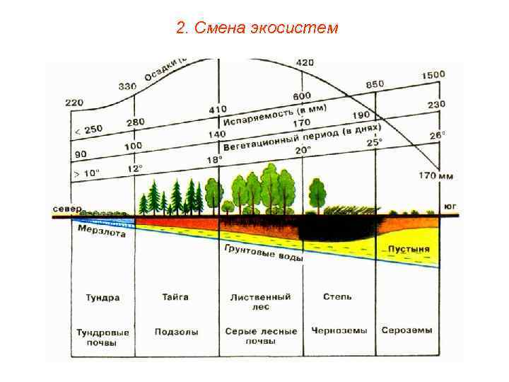 2. Смена экосистем 