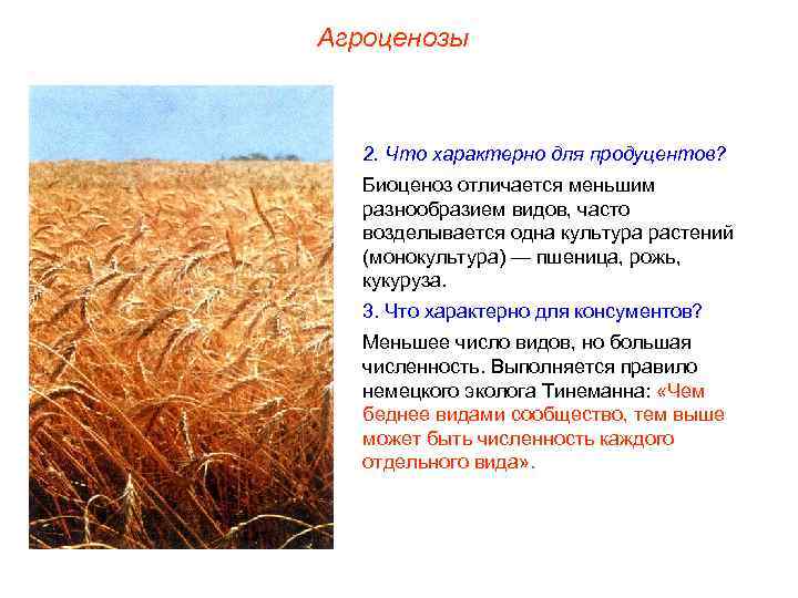 Агроценозы 2. Что характерно для продуцентов? Биоценоз отличается меньшим разнообразием видов, часто возделывается одна