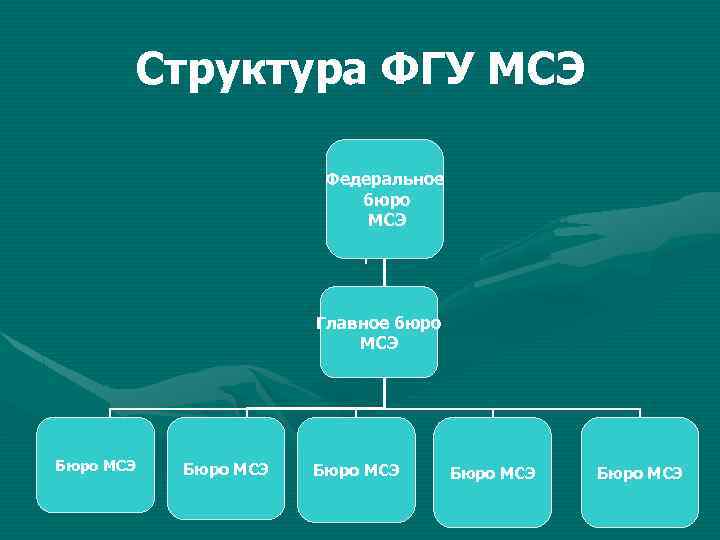 медико социальная экспертиза ассистент кафедры семейной медицины и. . . структура фгу мсэ федеральное бюро мсэ главное б