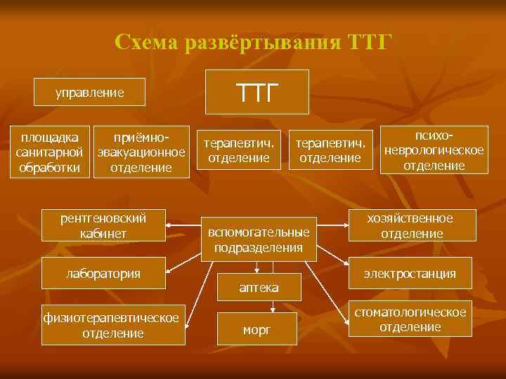 Схема развёртывания ТТГ управление площадка санитарной обработки приёмноэвакуационное отделение рентгеновский кабинет лаборатория физиотерапевтическое отделение