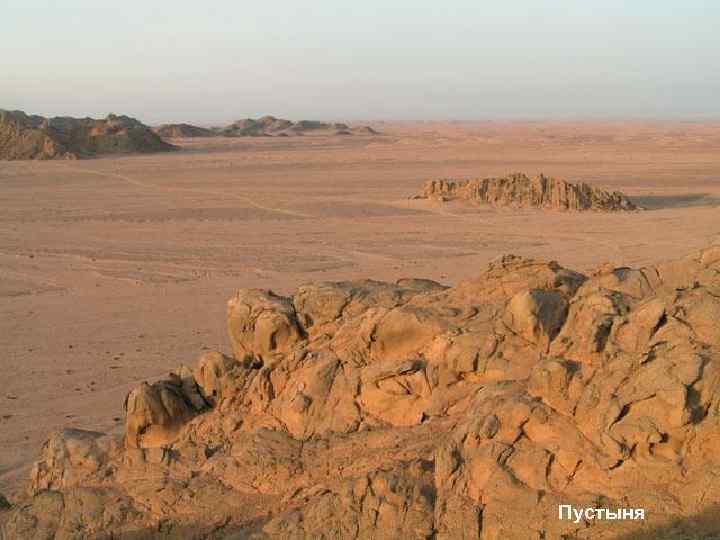 Пустыня 