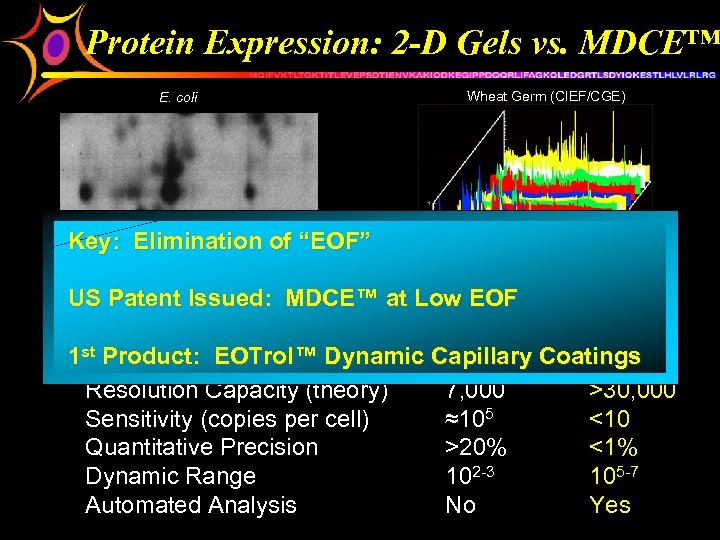 Protein Expression: 2 -D Gels vs. MDCE™ E. coli Wheat Germ (CIEF/CGE) Key: Elimination