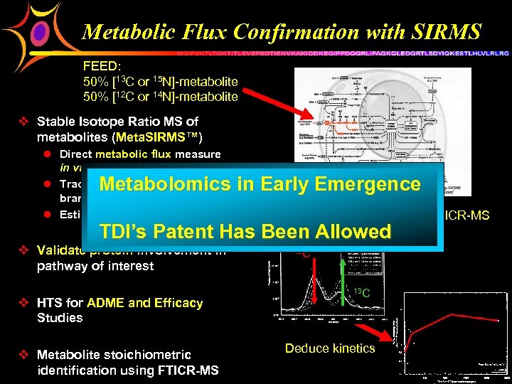 Metabolic Flux Confirmation with SIRMS FEED: 50% [13 C or 15 N]-metabolite 50% [12