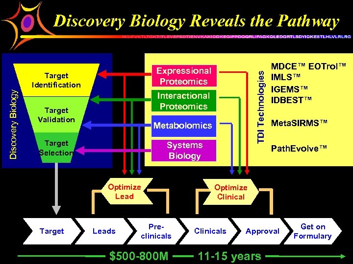 Discovery Biology Reveals the Pathway Discovery Biology Target Identification Interactional Proteomics Target Validation Metabolomics