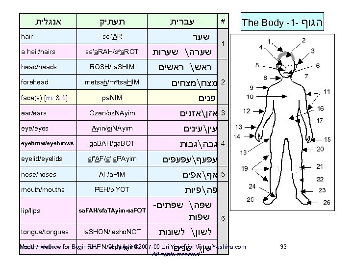  אנגלית hair תעתיק sei’AR a hair/hairs sa’a. RAH/sea. ROT head/heads ROSH/ra. SHIM forehead