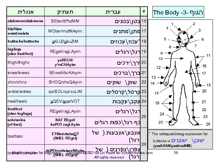  אנגלית תעתיק abdomen/abdomens BEten/beta. NIM MOten/mot. NAyim The Body -3 - הגוף 61